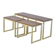 Solid Wood & Iron Gold Base Table Set of 3 - The House Office